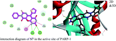 Graphical abstract: Discovery of pyrano[2,3-d]pyrimidine-2,4-dione derivatives as novel PARP-1 inhibitors: design, synthesis and antitumor activity