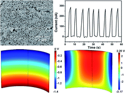 Graphical abstract: Piezoelectric property comparison of two-dimensional ZnO nanostructures for energy harvesting devices