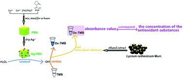 Graphical abstract: Synthesis of a new Ag+-decorated Prussian blue analog with high peroxidase-like activity and its application in measuring the content of the antioxidant substances in Lycium ruthenicum Murr.
