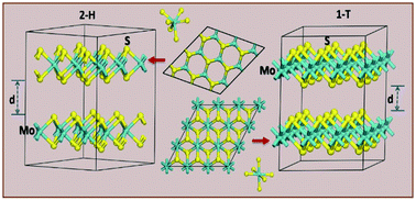 Graphical abstract: In-depth first-principle study on novel MoS2 polymorphs