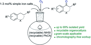 Graphical abstract: An efficient and practical aerobic oxidation of benzylic methylenes by recyclable N-hydroxyimide