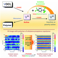 Graphical abstract: A highly chlorinated xylene promoter for ethylene–propylene copolymerisation over a vanadium catalyst