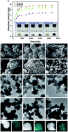 Graphical abstract: C [[double bond, length as m-dash]] N linked covalent organic framework for the efficient adsorption of iodine in vapor and solution