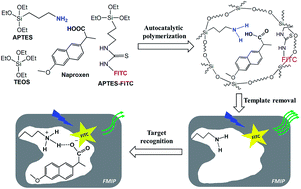 Graphical abstract: A simple approach to prepare fluorescent molecularly imprinted nanoparticles