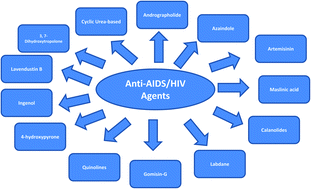 Graphical abstract: In search of therapeutic candidates for HIV/AIDS: rational approaches, design strategies, structure–activity relationship and mechanistic insights