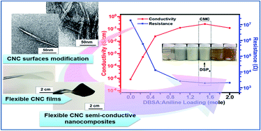 Graphical abstract: Enhanced electrical and thermal properties of semi-conductive PANI-CNCs with surface modified CNCs