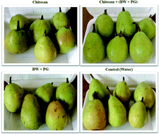 Graphical abstract: Smart edible coating films based on chitosan and beeswax–pollen grains for the postharvest preservation of Le Conte pear