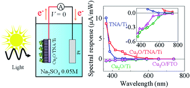 Graphical abstract: Studies on the substrate-dependent photocatalytic properties of Cu2O heterojunctions