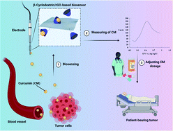 Graphical abstract: A reduced graphene oxide-β-cyclodextrin nanocomposite-based electrode for electrochemical detection of curcumin