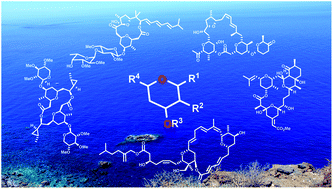 Graphical abstract: Synthetic efforts on the road to marine natural products bearing 4-O-2,3,4,6-tetrasubstituted THPs: an update