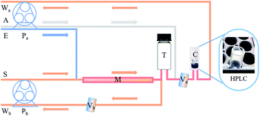 Graphical abstract: On-line separation/analysis of Rhodamine B dye based on a solid-phase extraction high performance liquid chromatography self-designed device