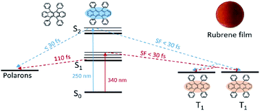 Graphical abstract: Singlet fission from upper excited singlet states and polaron formation in rubrene film