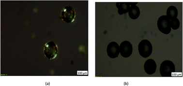 Graphical abstract: Iron oxide coated hollow poly(methylmethacrylate) as an efficient adsorption media for removal of arsenic from water