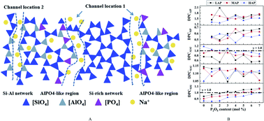 Graphical abstract: A modified random network model for P2O5–Na2O–Al2O3–SiO2 glass studied by molecular dynamics simulations