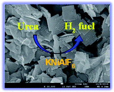 Graphical abstract: Structure and electrochemical activity of nickel aluminium fluoride nanosheets during urea electro-oxidation in an alkaline solution