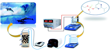 Graphical abstract: Moving-bed biofilm reactor combined with three-dimensional electrochemical pretreatment (MBBR–3DE) for 2,4-D herbicide treatment: application for real wastewater, improvement of biodegradability