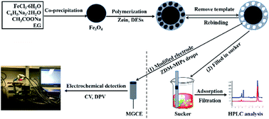 Graphical abstract: Specific adsorption and determination of aspartame in soft drinks with a zein magnetic molecularly imprinted modified MGCE sensor