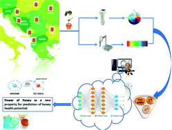 Graphical abstract: A comprehensive study of parameters correlated with honey health benefits