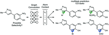 Graphical abstract: Multitask prediction of site selectivity in aromatic C–H functionalization reactions