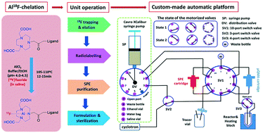 Graphical abstract: Optimization, automation and validation of the large-scale radiosynthesis of Al18F tracers in a custom-made automatic platform for high yield