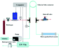 Graphical abstract: An automated flow platform for accurate determination of gas–liquid–solid reaction kinetics