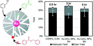 Graphical abstract: Mesoporous silica-encapsulated gold core–shell nanoparticles for active solvent-free benzyl alcohol oxidation