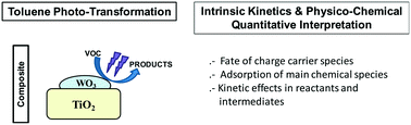 Graphical abstract: Photocatalytic toluene degradation: braiding physico-chemical and intrinsic kinetic analyses