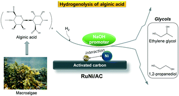 Graphical abstract: Hydrogenolysis of alginic acid over mono and bimetallic ruthenium/nickel supported on activated carbon catalysts with basic promoters