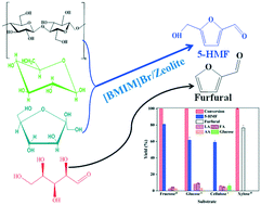 Graphical abstract: 1-Butyl-3-methylimidazolium bromide functionalized zeolites: nature of interactions and catalytic activity for carbohydrate conversion to platform chemicals