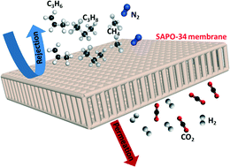 Graphical abstract: A mini-review on recent developments in SAPO-34 zeolite membranes and membrane reactors