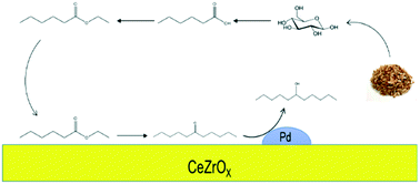 Graphical abstract: Production of jet-fuel-range molecules from biomass-derived mixed acids