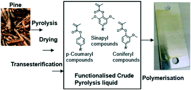 Graphical abstract: Solvent-free manufacture of methacrylate polymers from biomass pyrolysis products