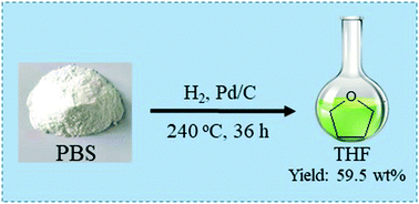 Graphical abstract: Valorization of poly(butylene succinate) to tetrahydrofuran via one-pot catalytic hydrogenolysis