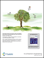 Graphical abstract: Inside back cover