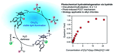 Graphical abstract: Mechanistic basis for tuning iridium hydride photochemistry from H2 evolution to hydride transfer hydrodechlorination