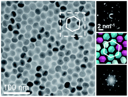 Graphical abstract: Shape-directed self-assembly of nanodumbbells into superstructure polymorphs