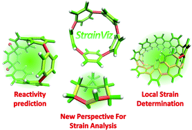 Graphical abstract: Strain visualization for strained macrocycles