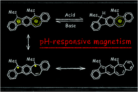 Graphical abstract: A polycyclic aromatic hydrocarbon diradical with pH-responsive magnetic properties