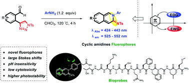 Graphical abstract: Efficient synthesis of cyclic amidine-based fluorophores via 6π-electrocyclic ring closure