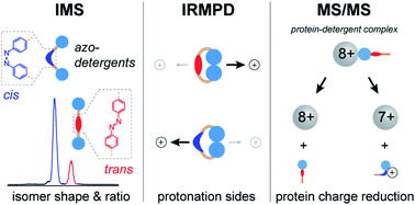 Graphical abstract: A new azobenzene-based design strategy for detergents in membrane protein research
