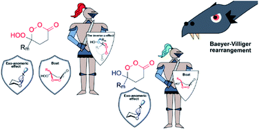 Graphical abstract: Synthesis of unstrained Criegee intermediates: inverse α-effect and other protective stereoelectronic forces can stop Baeyer–Villiger rearrangement of γ-hydroperoxy-γ-peroxylactones