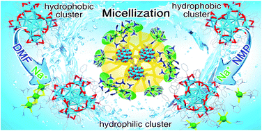 Graphical abstract: Rendering hydrophobic nanoclusters water-soluble and biocompatible
