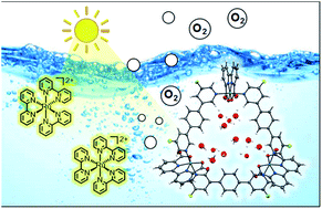 Graphical abstract: Impact of substituents on molecular properties and catalytic activities of trinuclear Ru macrocycles in water oxidation