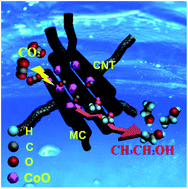 Graphical abstract: Selective electrochemical reduction of carbon dioxide to ethanol via a relay catalytic platform