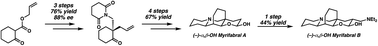 Graphical abstract: Enantioselective total synthesis of (−)-myrifabral A and B