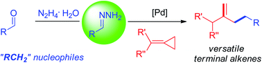 Graphical abstract: Palladium-catalyzed hydroalkylation of methylenecyclopropanes with simple hydrazones