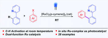 Graphical abstract: Ortho C–H arylation of arenes at room temperature using visible light ruthenium C–H activation