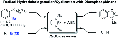 Graphical abstract: Exploiting the radical reactivity of diazaphosphinanes in hydrodehalogenations and cascade cyclizations