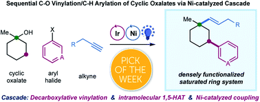 Graphical abstract:Sequential C–O decarboxylative vinylation/C–H arylation of cyclic oxalates via a nickel-catalyzed multicomponent radical cascade