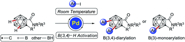 Graphical abstract: Regioselective B(3,4)–H arylation of o-carboranes by weak amide coordination at room temperature